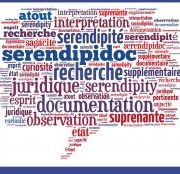 Nuage de mots pour Sérendipidoc