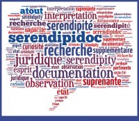 Nuage de mots pour Sérendipidoc