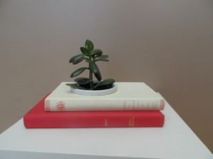 Livre jardinière Au détour des pages