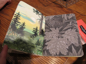 Sketchbook Project, exemple