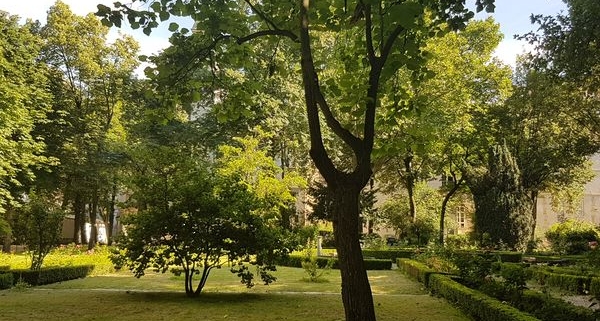 Le jardin des Carmes, ICP Paris