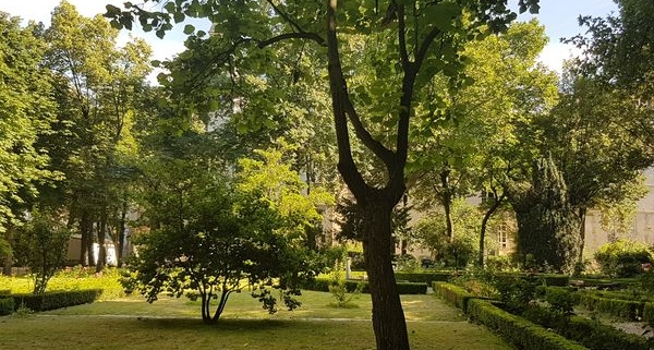 Le jardin des Carmes, ICP Paris