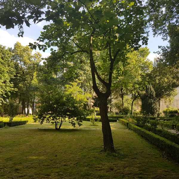 Le jardin des Carmes, ICP Paris